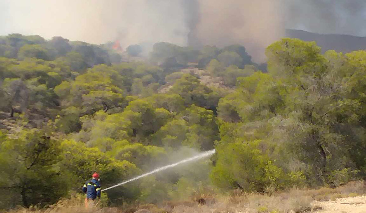 Φωτιές: Σοβαρή αναζωπύρωση στη Λακωνία – 4.000 στρέμματα έχουν ήδη γίνει στάχτη
