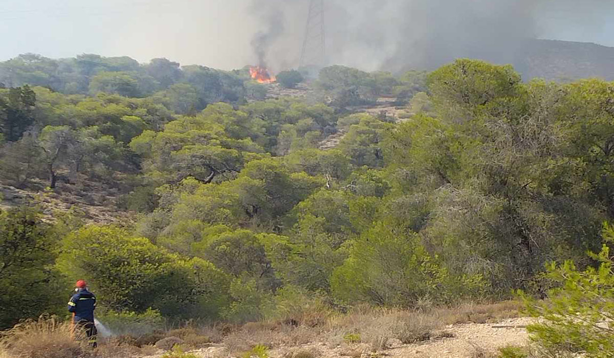 Αργολίδα: Συναγερμός για φωτιά κοντά στο χωριό Άγιος Δημήτριος