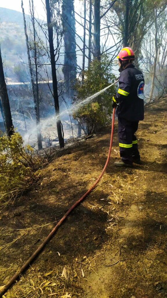 Ελληνική Ομάδα Διάσωσης φωτιά Άργος (3)