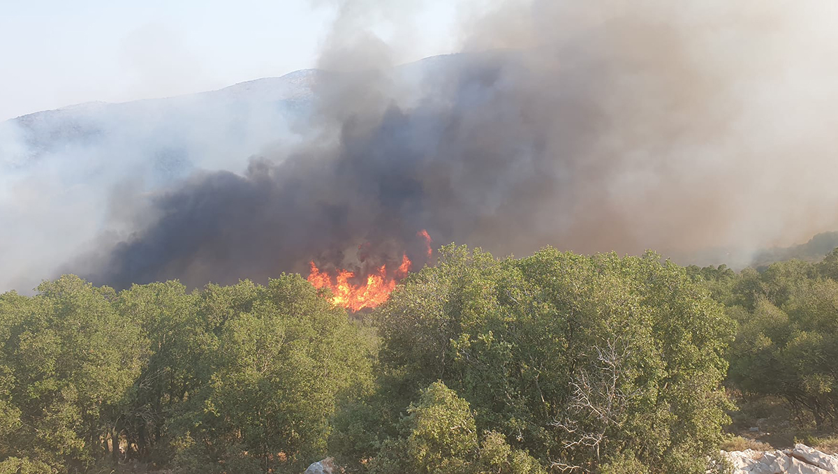 Φωτιά Αγία Σοφία Βόρεια Κυνουρία (2)