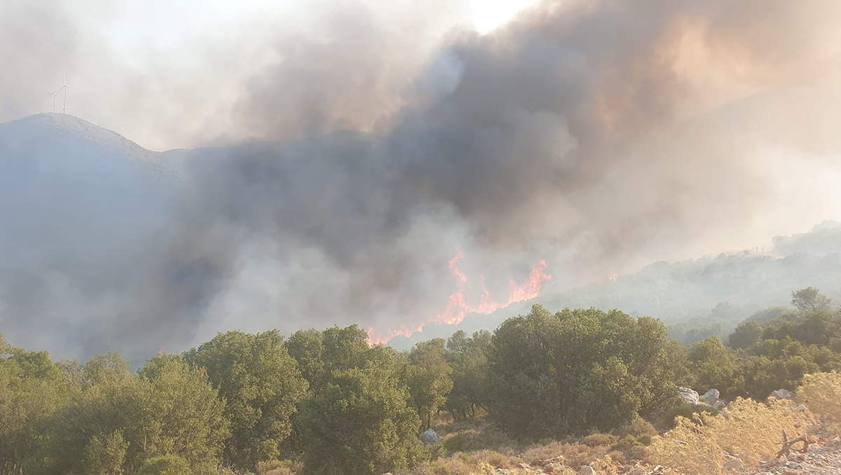 Φωτιά Αγία Σοφία Βόρεια Κυνουρία (3)