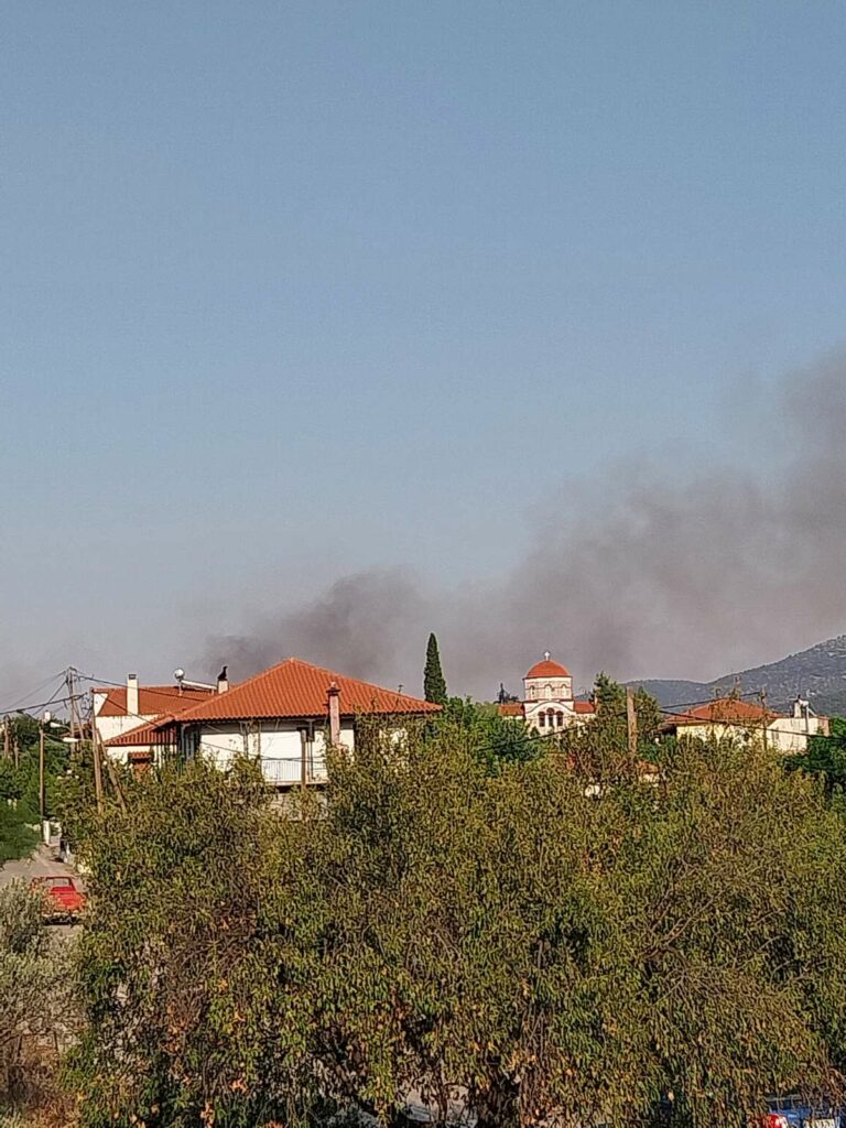 Φωτιά Γιαννουλέικα Επίδαυρος (2)