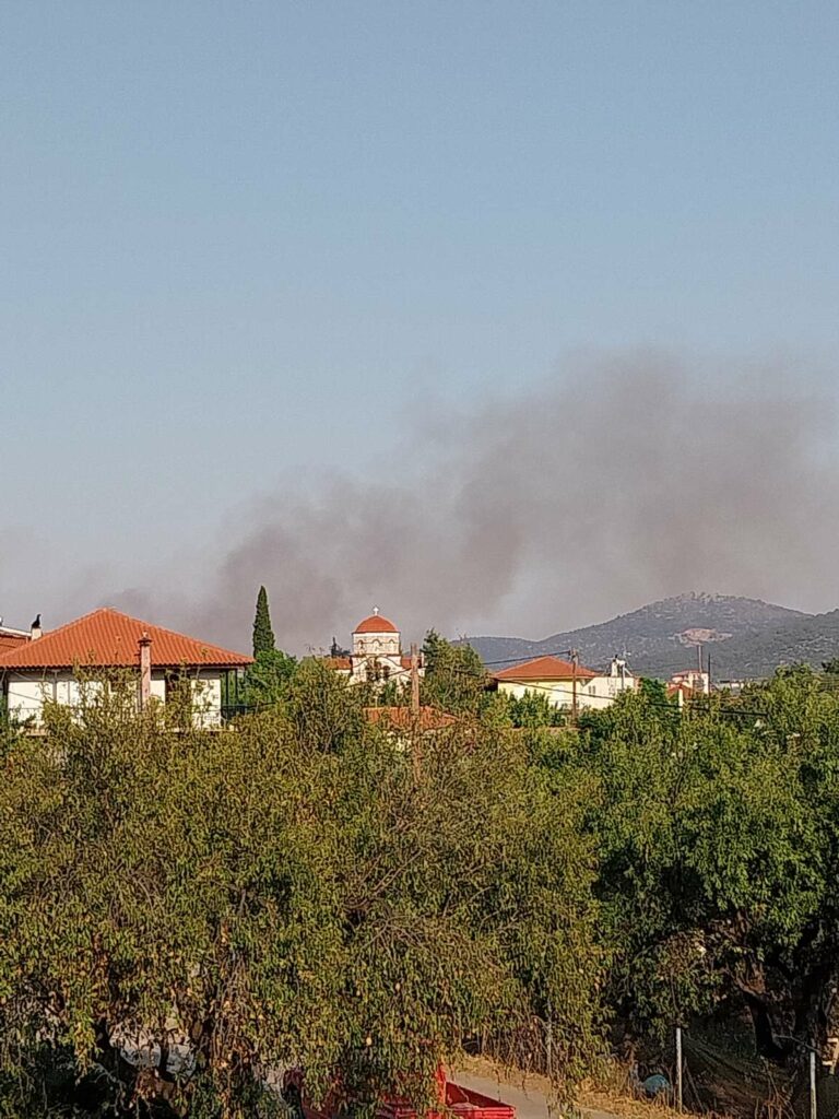 Φωτιά Γιαννουλέικα Επίδαυρος (3)