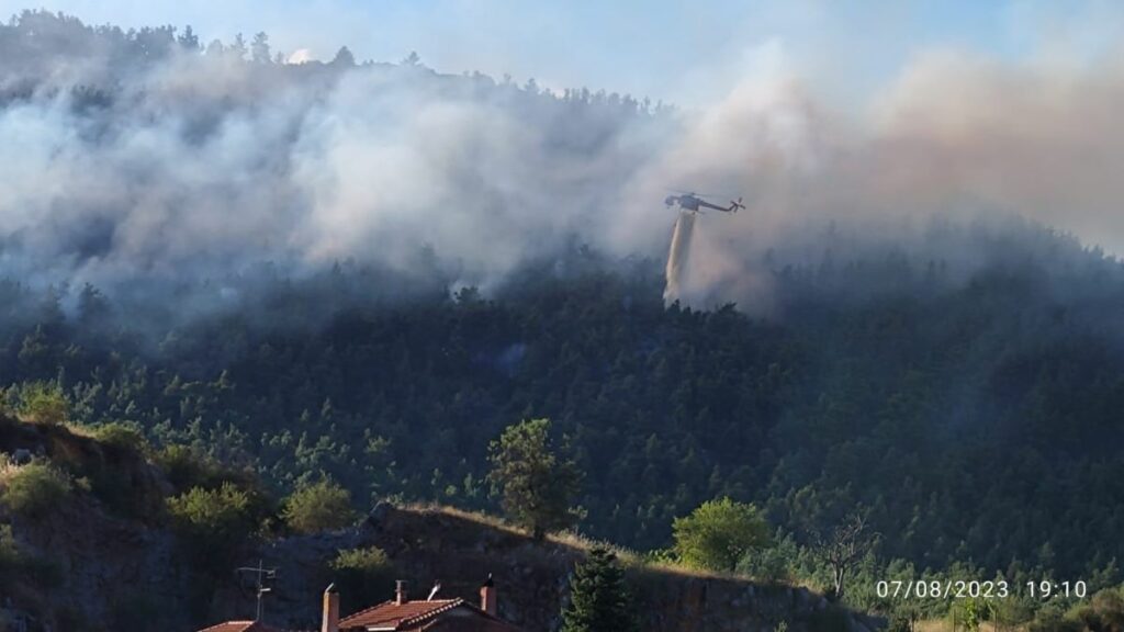 φωτιά δάσος Τρίπολης 12