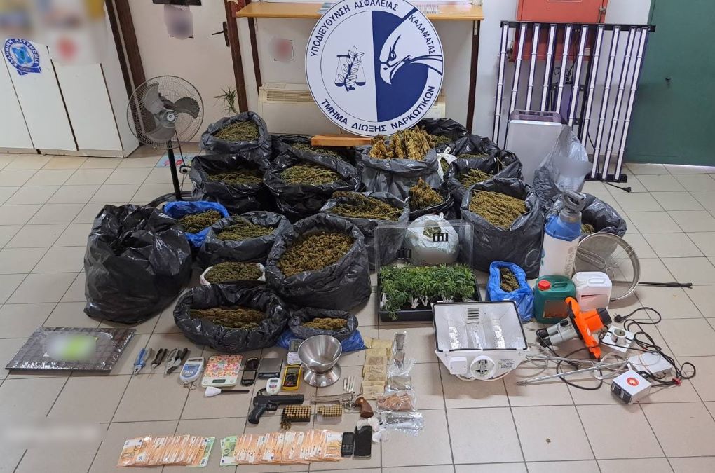 Πάνω από 90 κιλά κάνναβης και 385 φυτά κάνναβης κατασχέθηκαν στην Καλαμάτα – Συνδρομή αστυνομικού σκύλου