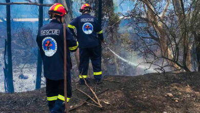 Ελληνική Ομάδα Διάσωσης φωτιά Άργος