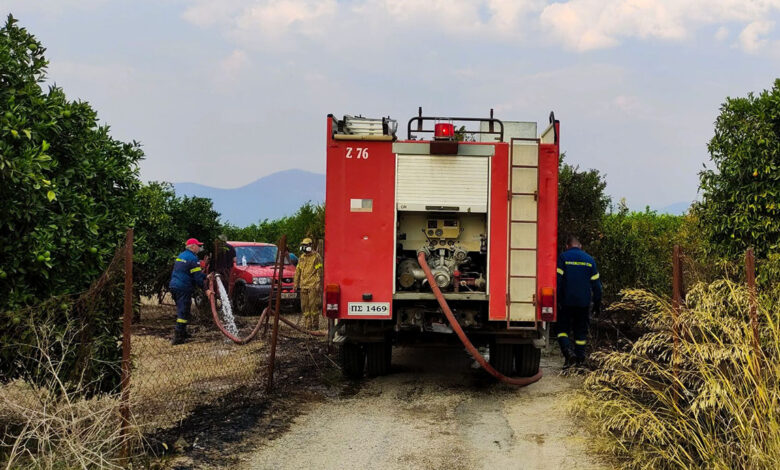 Ελληνική Ομάδα Διάσωσης φωτιά Άργος (4)