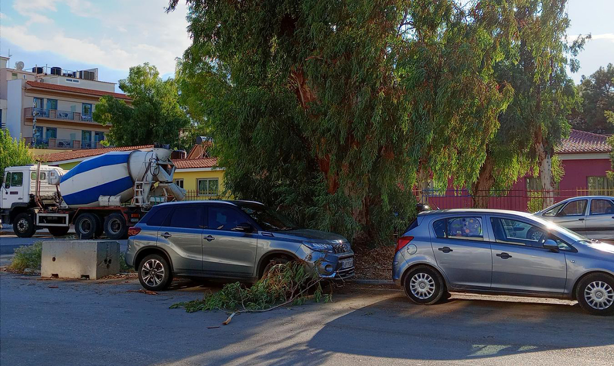 Κλάρα από δέντρο έπεσε δίπλα σε σταθμευμένο αυτοκίνητο στο Ναύπλιο
