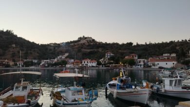 Σαμπατική Νότια Κυνουρία (4)