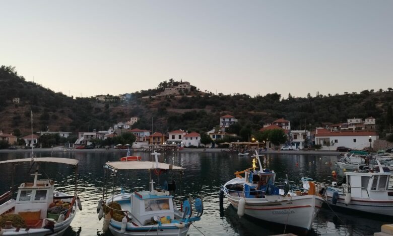 Σαμπατική Νότια Κυνουρία (4)