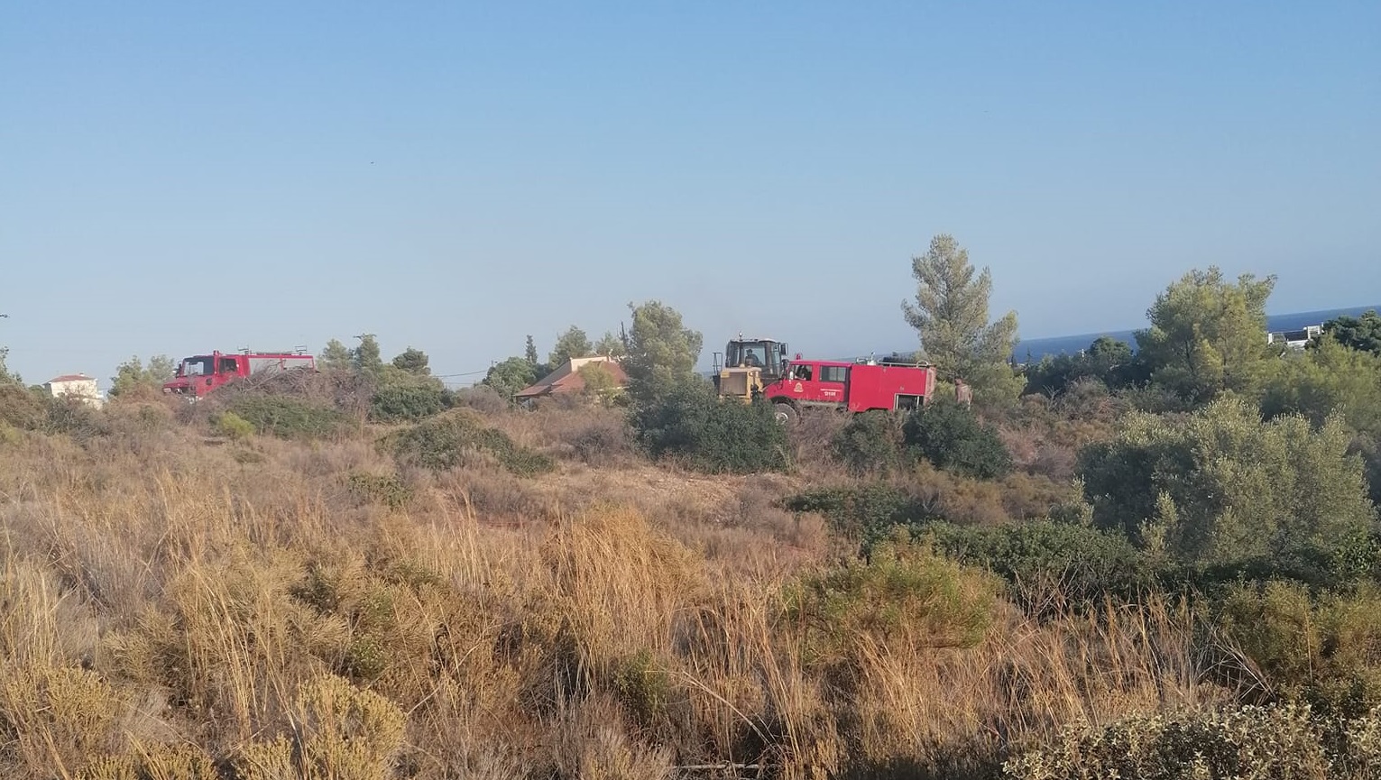 Φωτιά Άγιος Αιμιλιανός (1)