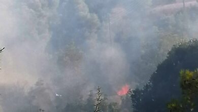 Φωτιά Άγιος Αιμιλιανός (2)