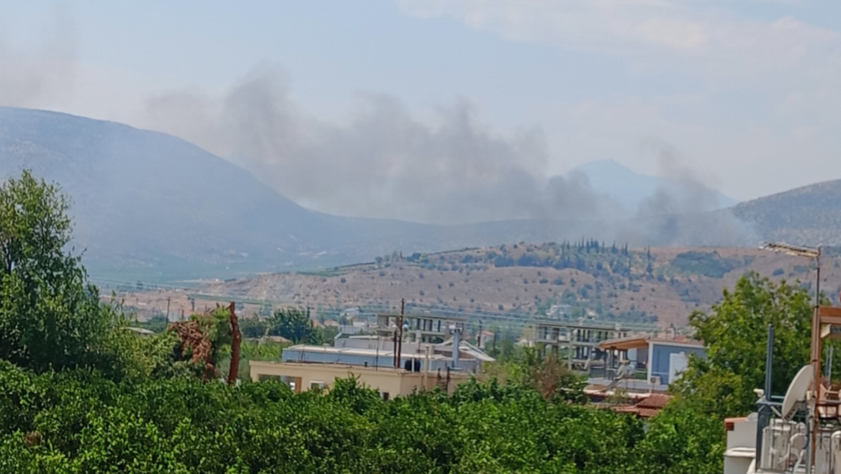 Άργος: Υπό έλεγχο η φωτιά στην Άκοβα – Η άμεση κινητοποίηση απέτρεψε τα χειρότερα