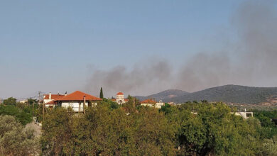 Φωτιά Γιαννουλέικα Επίδαυρος (1)