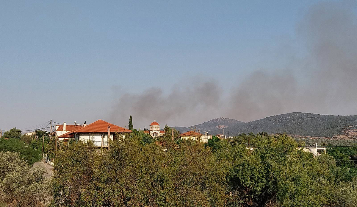 Επίδαυρος: Άμεση κινητοποίηση για φωτιά ανάμεσα σε Γιαννουλαίικα και Χουταλαίικα