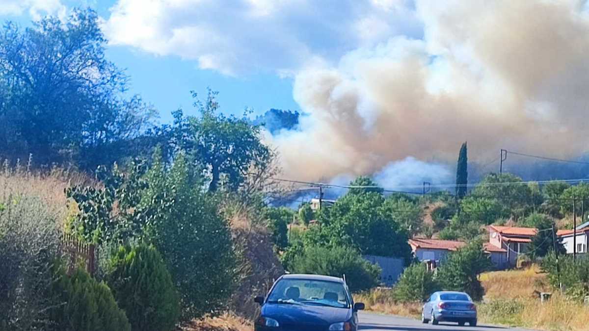 Εικόνες και video από την πυρκαγιά σε δασική έκταση στην Τρίπολη: Κινδυνεύει το Μαίναλο