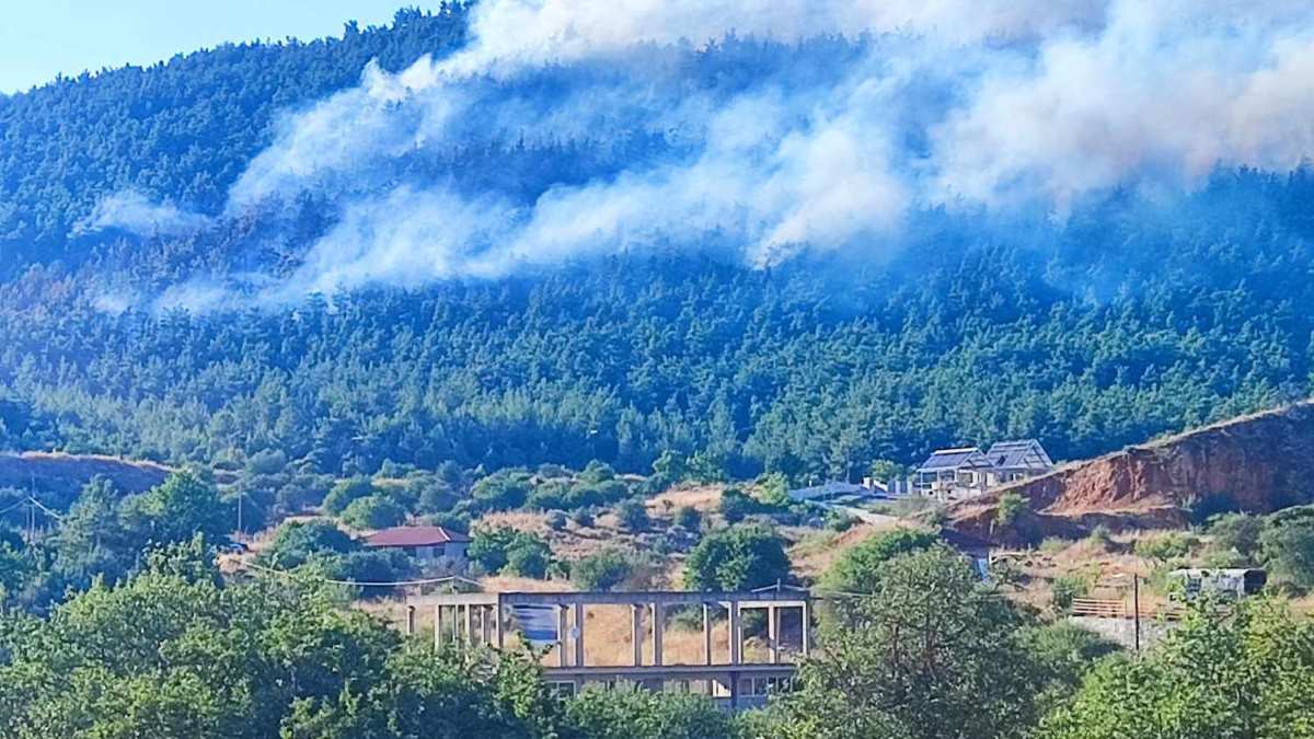 29χρονος προσήχθη ως ύποπτος για τη φωτιά στην Τρίπολη – Καλύτερη η εικόνα στο μέτωπο