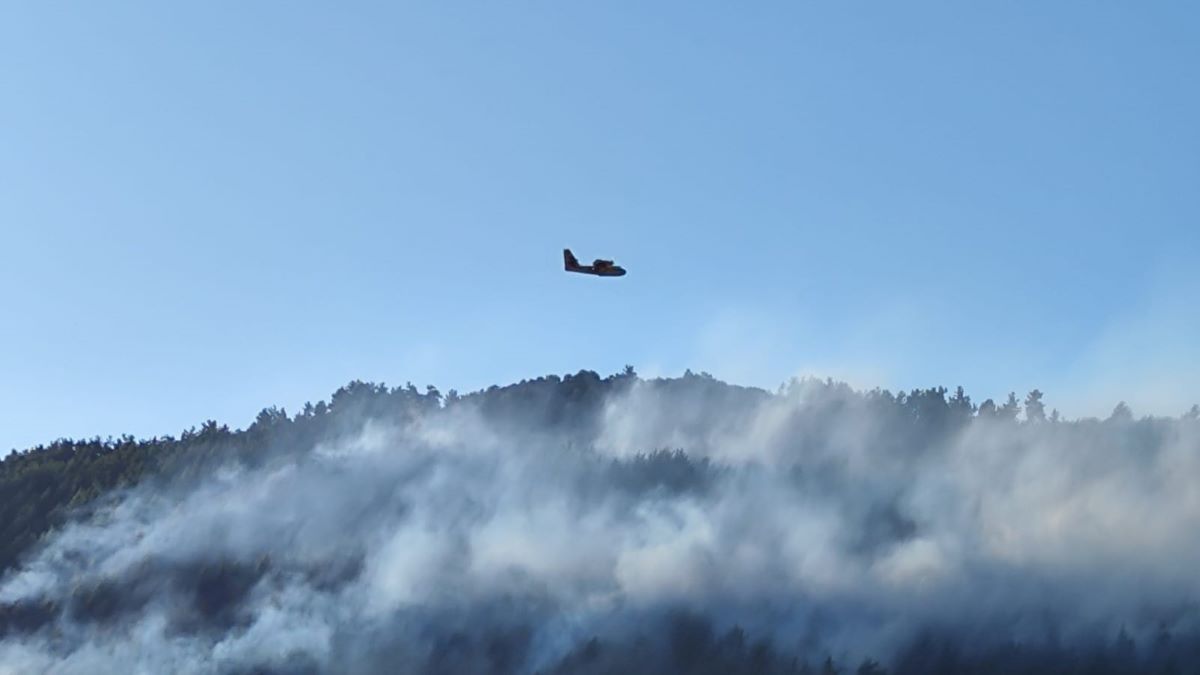 Μεσσηνία: Σηκώθηκαν 2 αεροσκάφη και 1 ελικόπτερο για φωτιά στην Οιχαλία