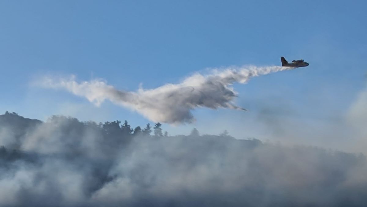 Αρκαδία: Μεγάλη κινητοποίηση για φωτιά που καίει δάσος στα Άνω Δολιανά