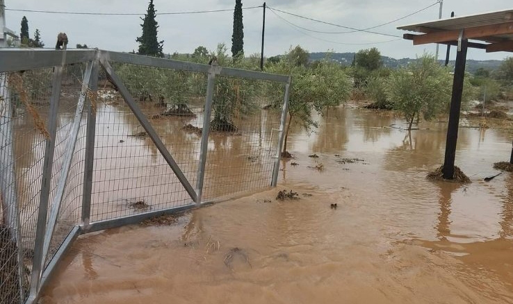 Ερμιονίδα κακοκαιρία ζημιές (15)