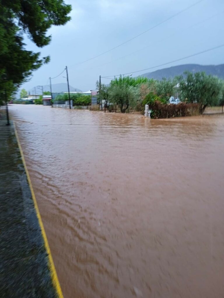 Ερμιονίδα κακοκαιρία ζημιές (9)