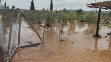 Ερμιονίδα κακοκαιρία ζημιές (15)