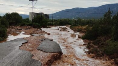 Ερμιονίδα κακοκαιρία ζημιές (44)