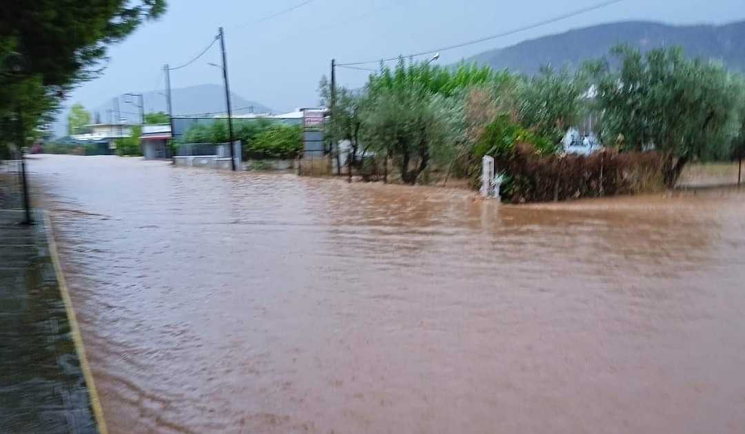 Ερμιονίδα κακοκαιρία ζημιές (99)