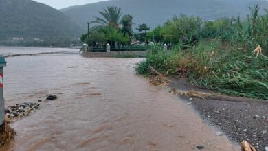 Καταστροφές στον Δήμο Επιδαύρου 5