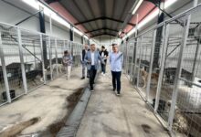 Καταφύγιο αδέσποτων Τρίπολη (2)