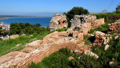 Πεταλίδι Αρχαία Κορώνη