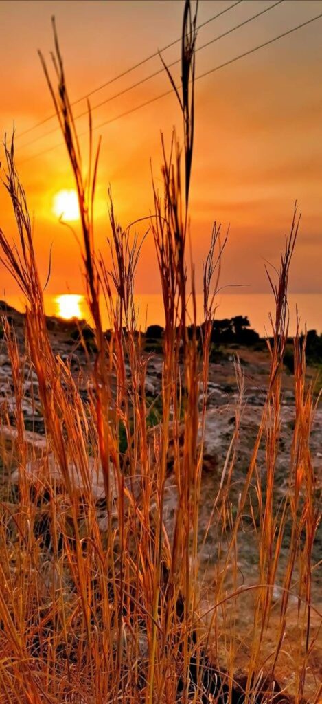 Ελαφόνησος ηλιοβασίλεμα (2)