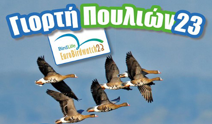 Άστρος: Δράσεις αφιερωμένες στη φθινοπωρινή μετανάστευση των πουλιών στη λιμνοθάλασσα Μουστού