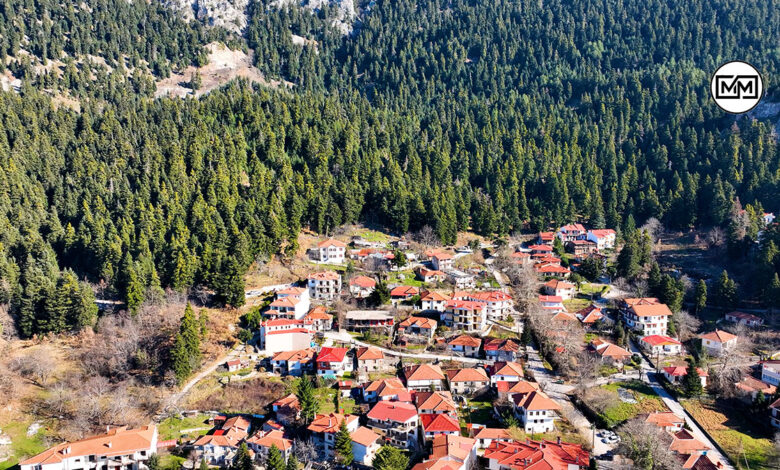 Ελάτη Τρικάλων (15)