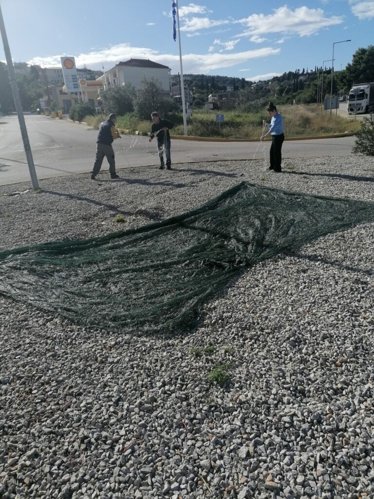 Κρανίδι στολισμός Χριστούγεννα (1)