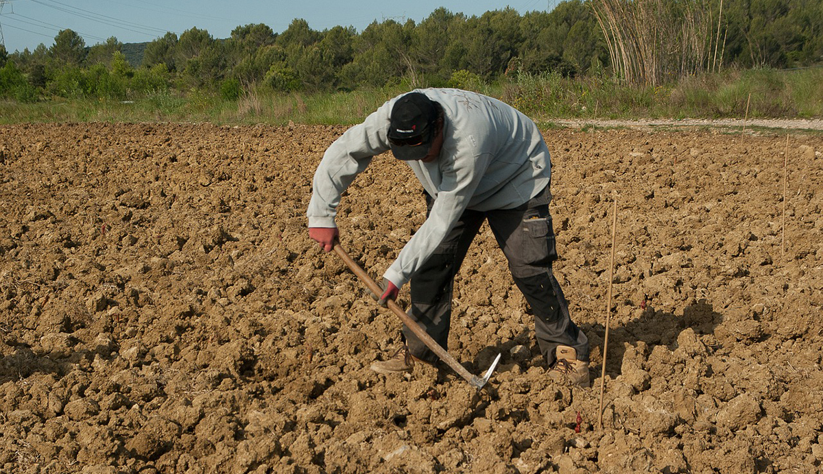 Άλυτος γρίφος για τους αγρότες στην Πελοπόννησο