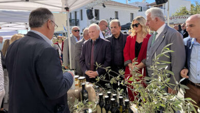 Ανδριανός Γιορτή Ελιάς Κρανίδι (3)