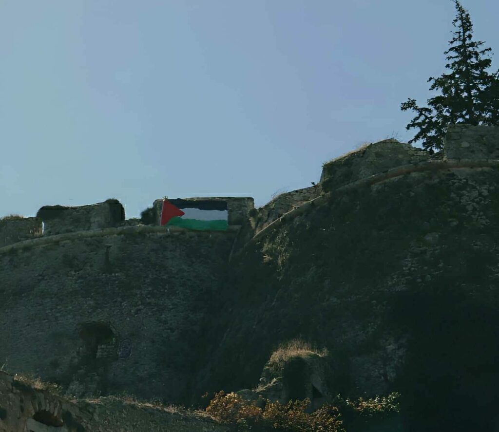 Καλών Τεχνών σημαία Παλαιστίνης (1)