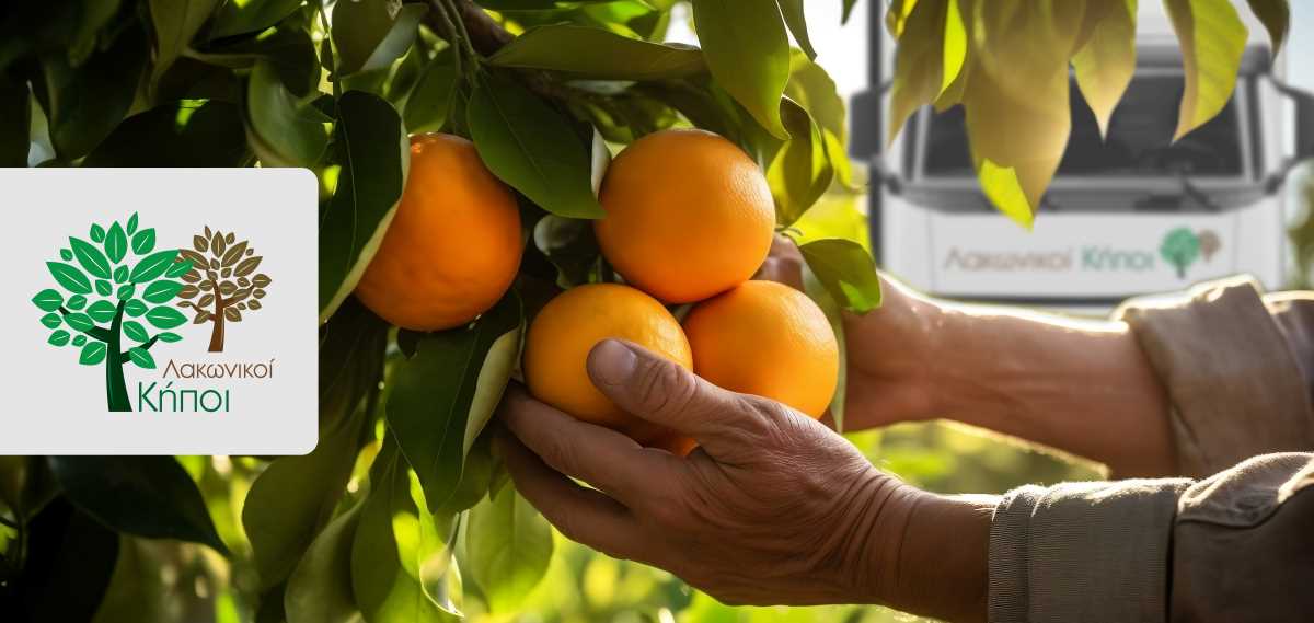 ΛΑΚΩΝΙΚΟΙ ΚΗΠΟΙ: Τρόποι στήριξης των παραγωγών πορτοκαλιού της Αργολίδας