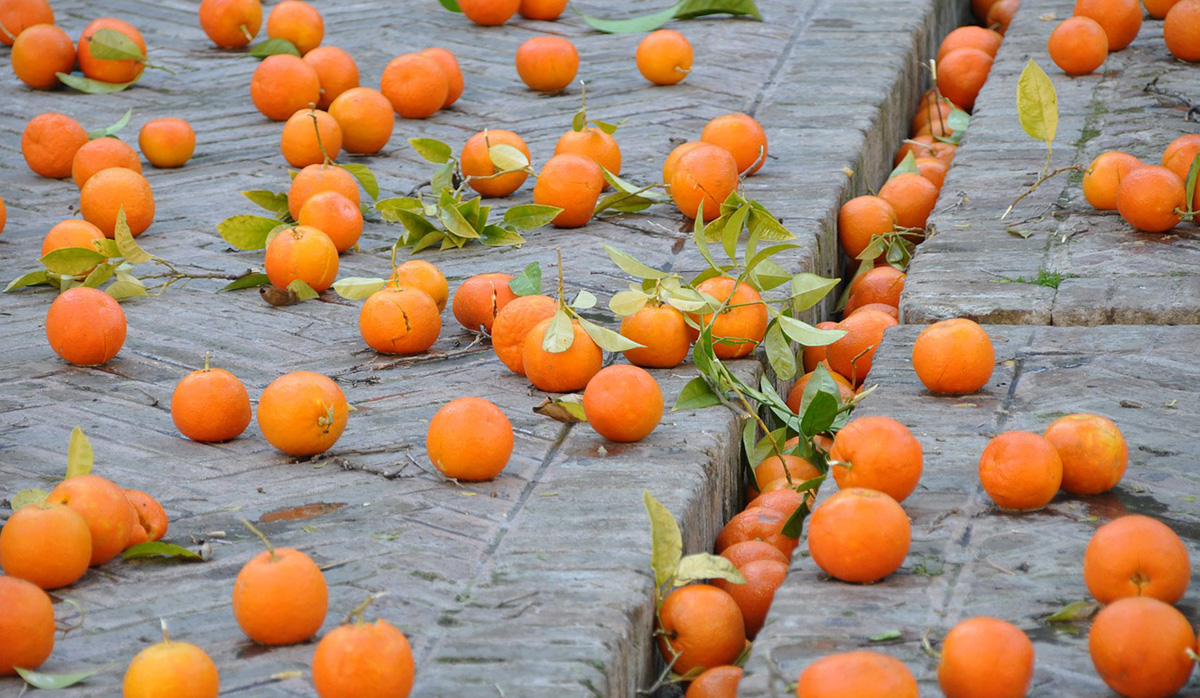 Δερβενάκια: Γέμισε ο δρόμος κλούβες πορτοκάλια