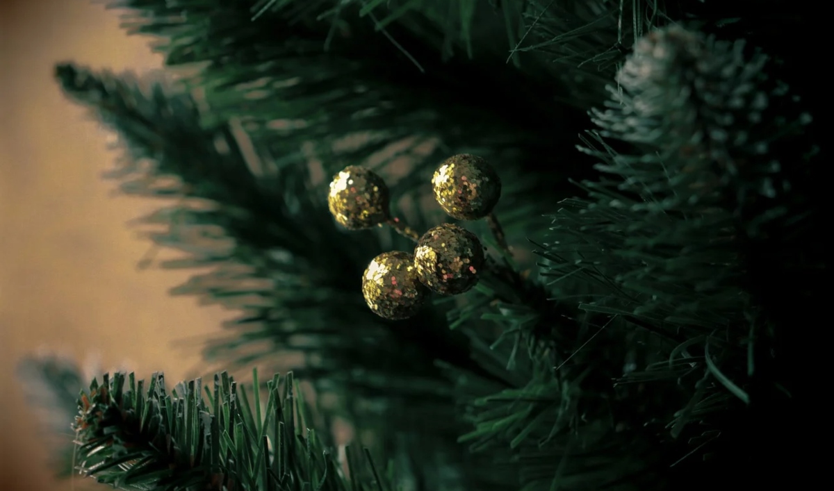 Ναύπλιο: Χριστουγεννιάτικο δέντρο με μηνύματα για την Ευρωπαϊκή Ένωση