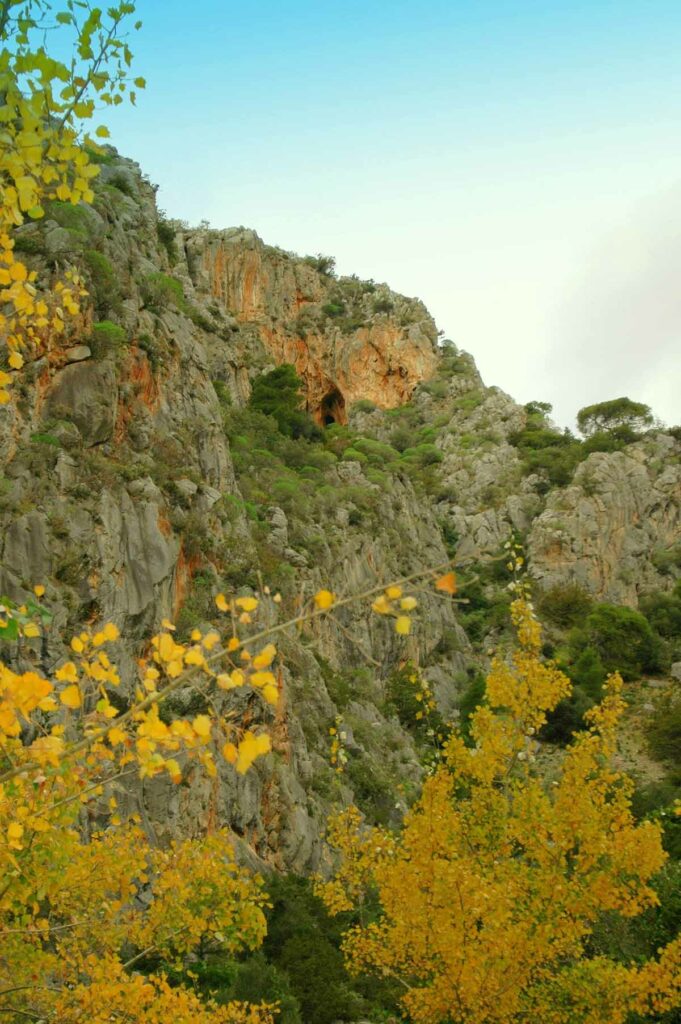 Καταφύκι Ερμιονίδα (9)