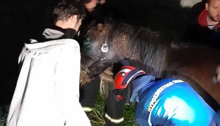 Σωτήρια επέμβαση για παγιδευμένο και τραυματισμένο άλογο στην Ύδρα