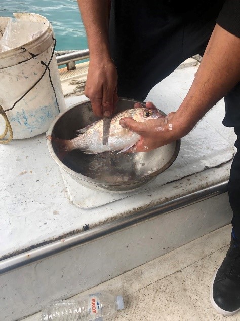 Διήμερο εμψύχωσης και ενημέρωσης αλιέων στο Ναύπλιο και το Τολό 4