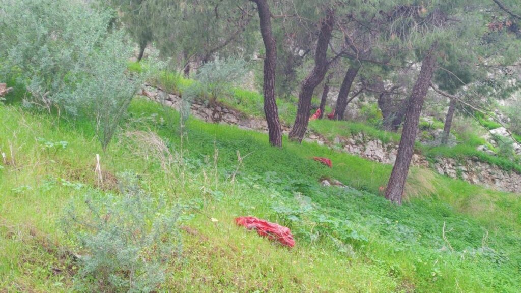 Φαναράκια Ναύπλιο πεταμένα 2