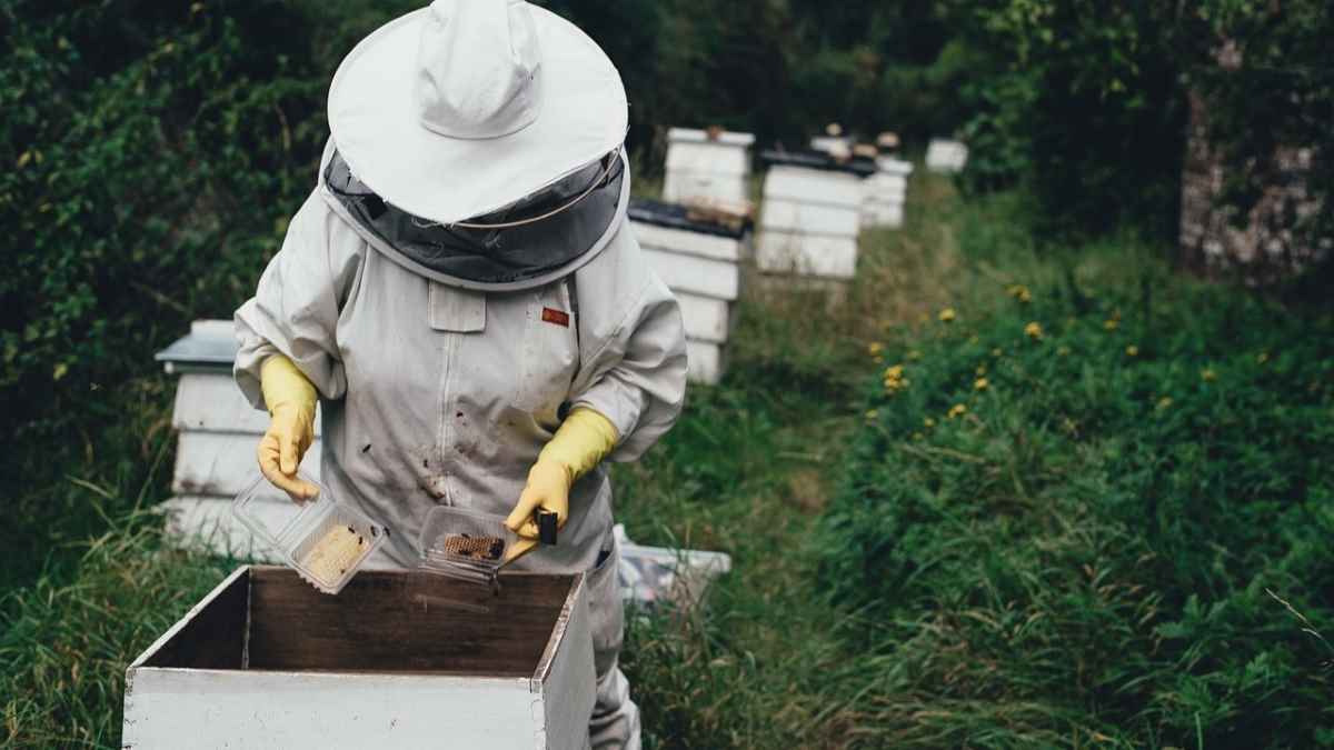 Τρίπολη: Στους δρόμους και οι Μελισσοκόμοι  