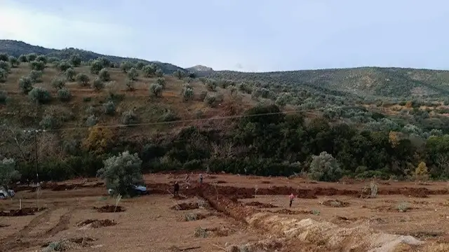Δενδροφύτευση Στόλο Κυνουρίας 1