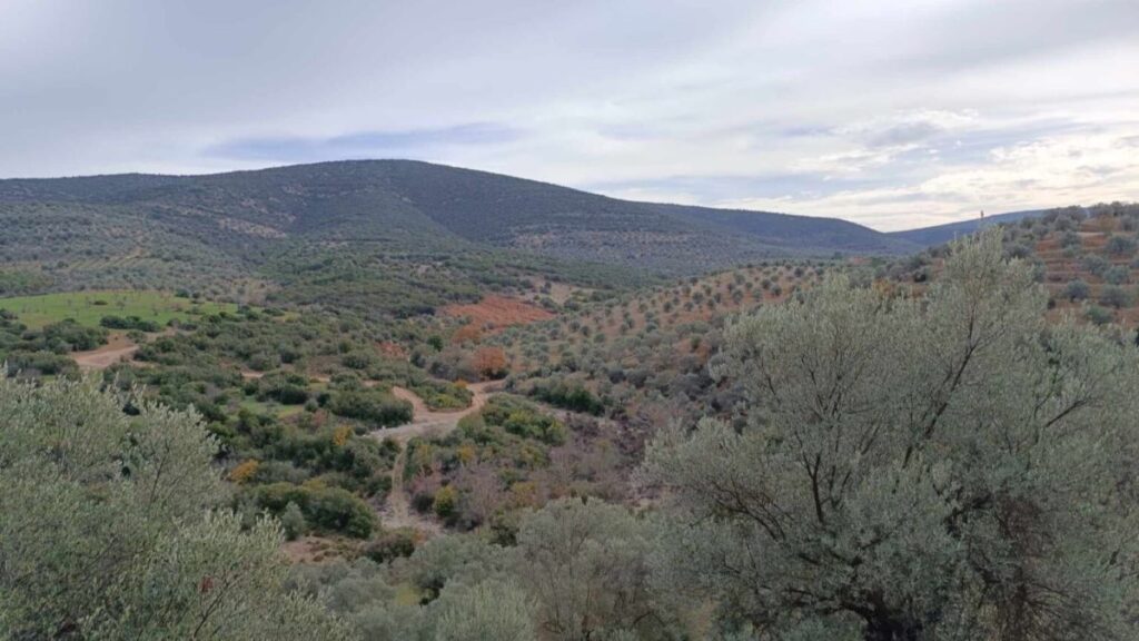 Δενδροφύτευση Στόλο Κυνουρίας 2