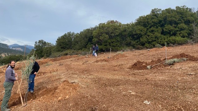 Δενδροφύτευση Στόλο Κυνουρίας 3