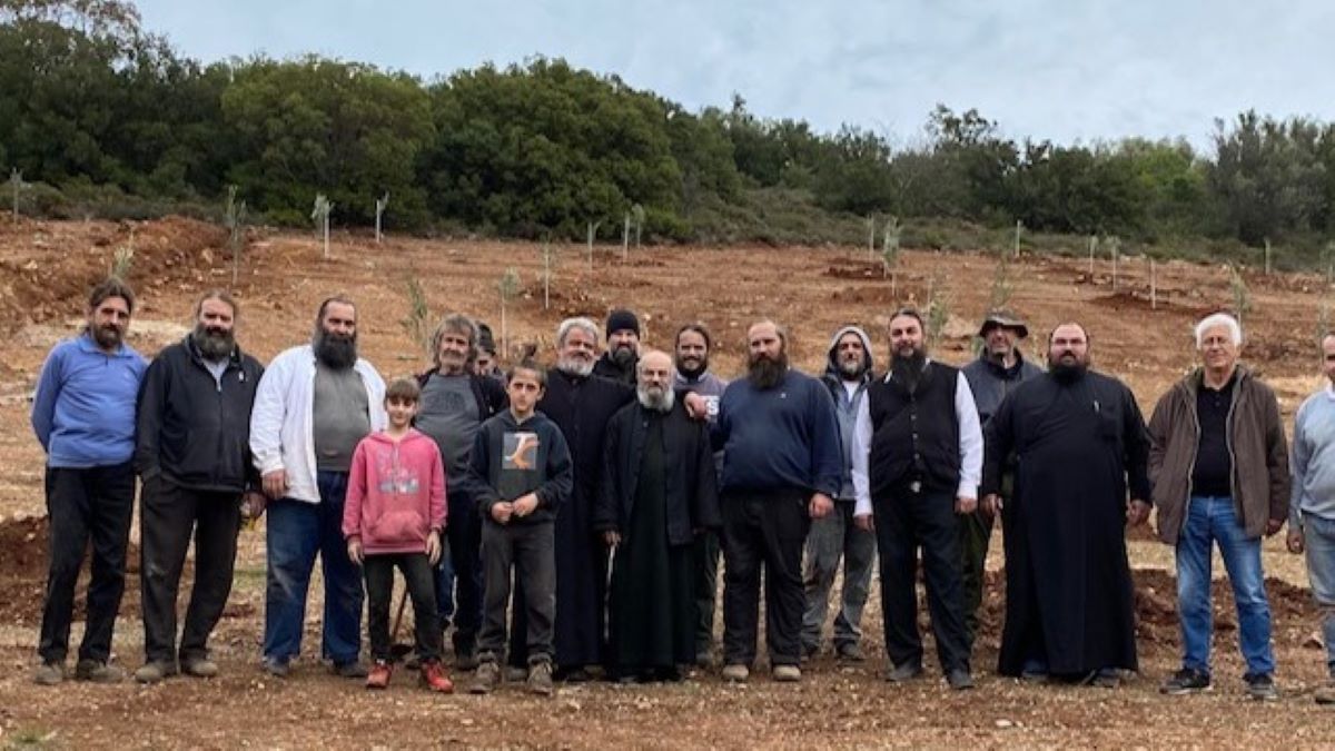 Στόλος Κυνουρίας: 170 νέα ελαιόδεντρα φύτεψε η Μητρόπολη Μαντινείας και Κυνουρίας